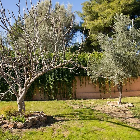 Josefine - With Private Pool And Parking *