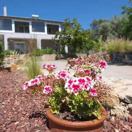 Josefine - With Private Pool And Parking Villa Politika